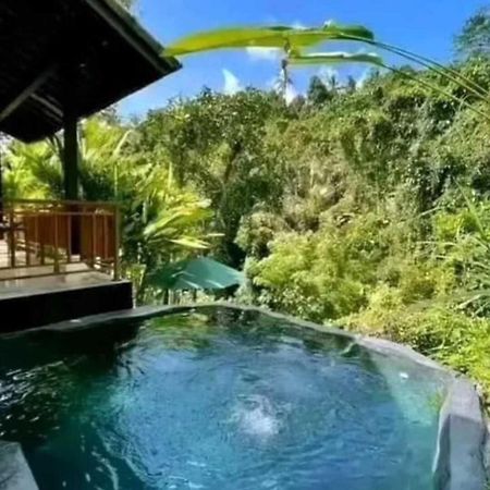 Pondok Kungkang Villa 2 Ουμπούντ Εξωτερικό φωτογραφία
