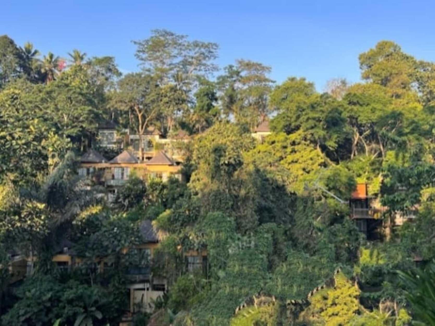 Pondok Kungkang Villa 2 Ουμπούντ Εξωτερικό φωτογραφία
